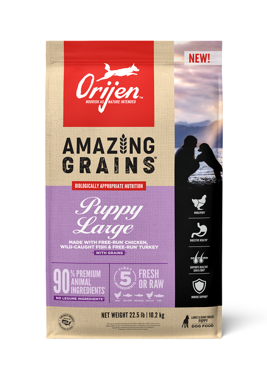 Best High-Protein & Meat-Based Dog Food | ORIJEN Best High-Protein & Meat-Based Dog Food | ORIJEN